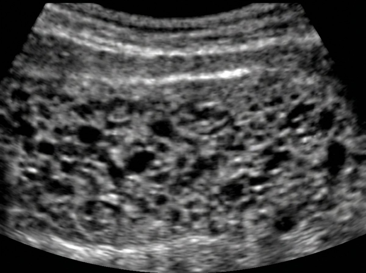 Image for question 8