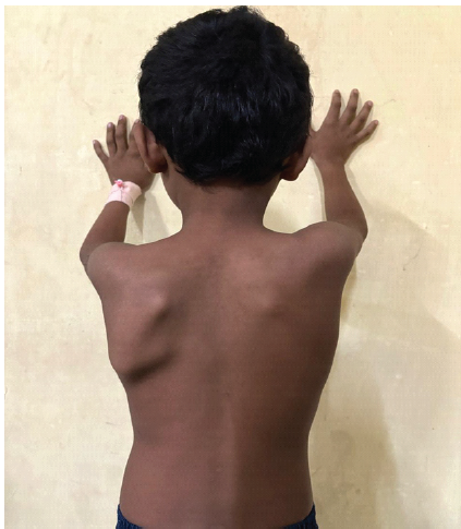 Image for question 25