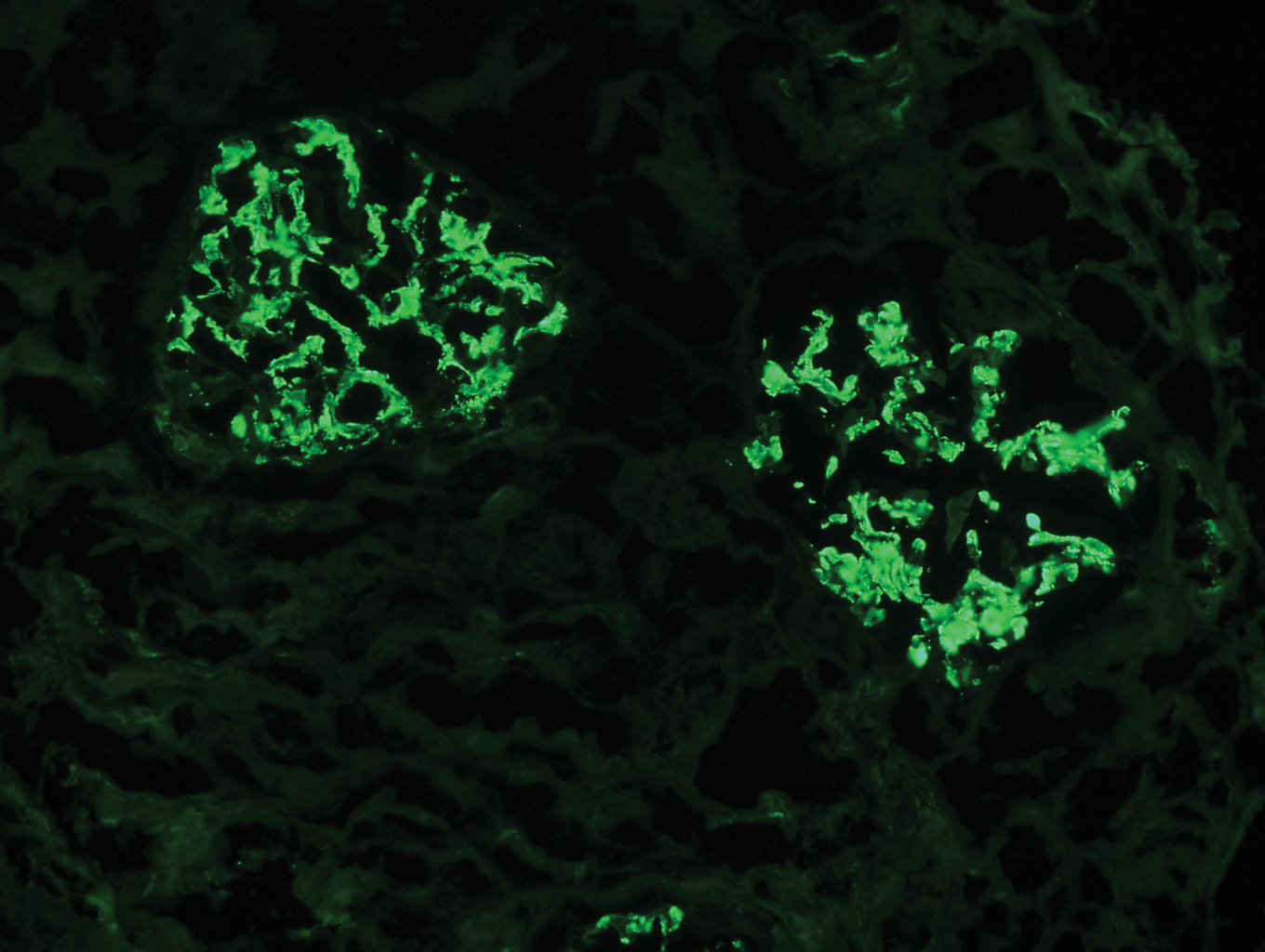 Image for question 4