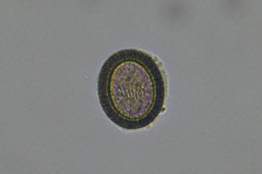 Image for question 89