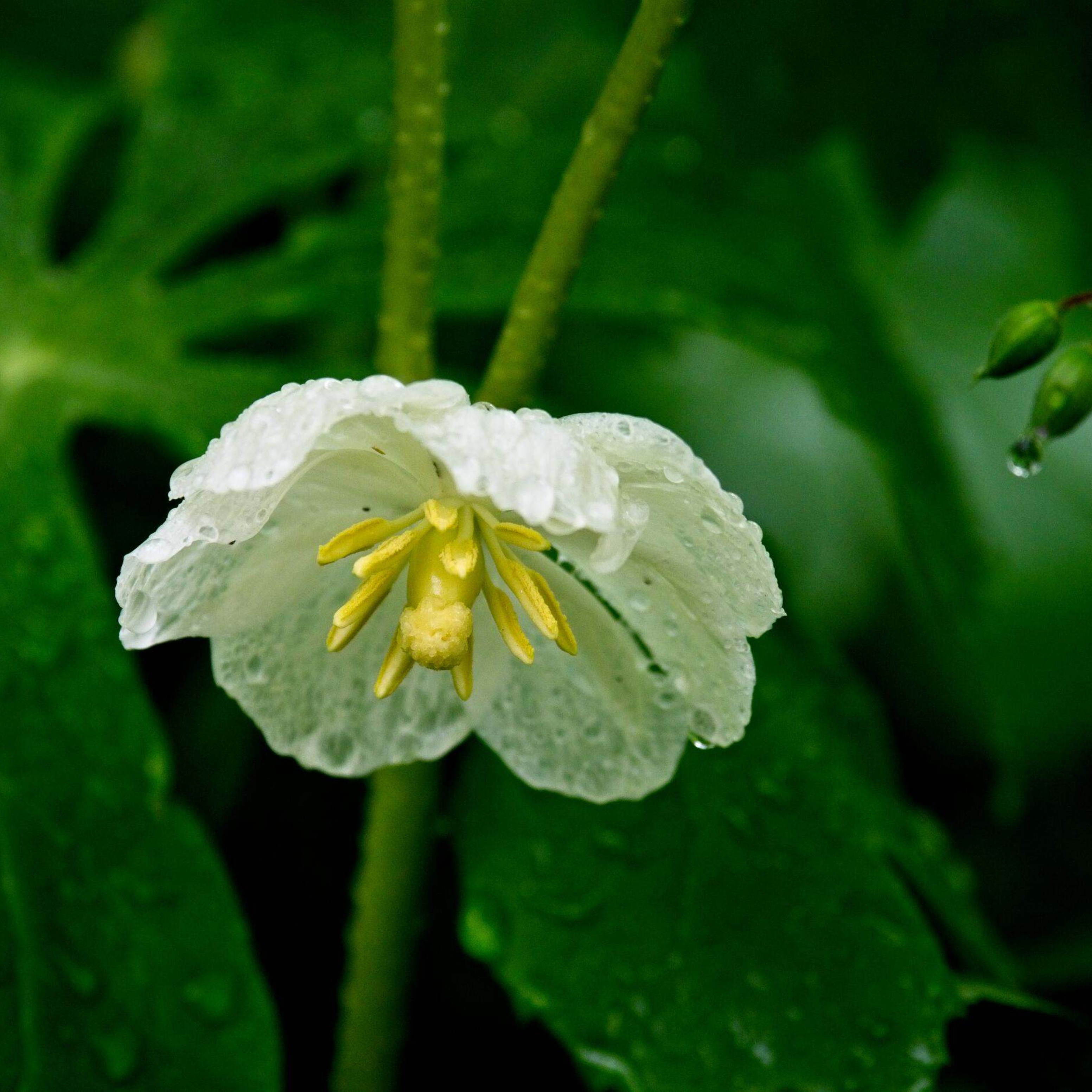 Image for question 433