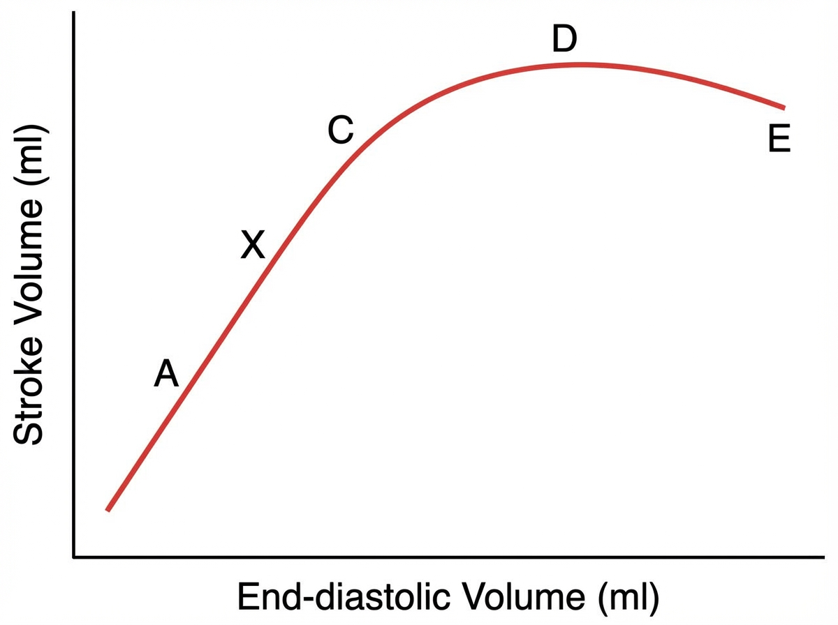Image for question 628