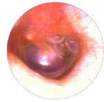 Image for question 47