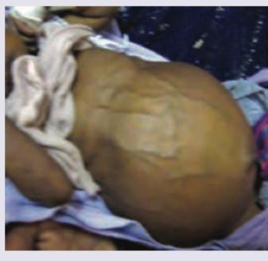 Image for question 5