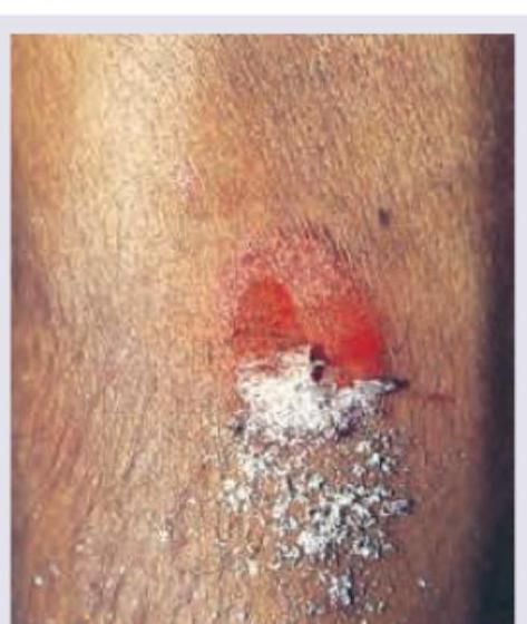 Image for question 15