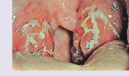 Image for question 4