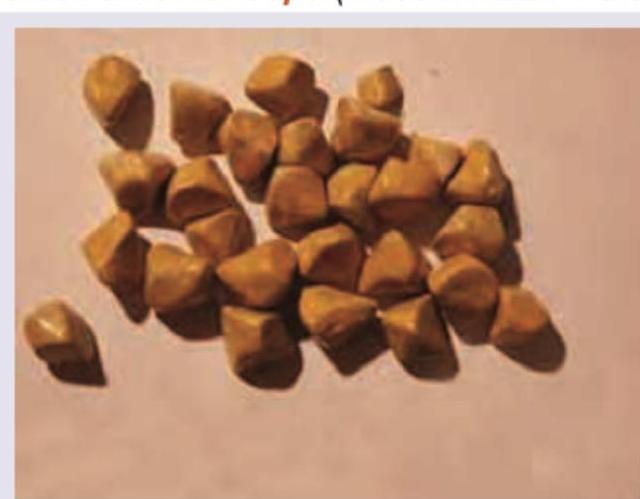 Image for question 47