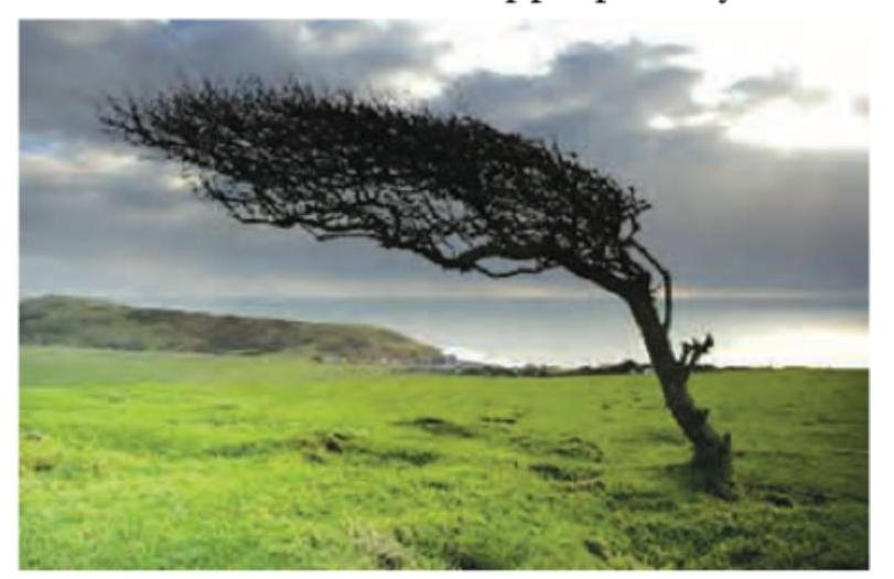 Image for question 298