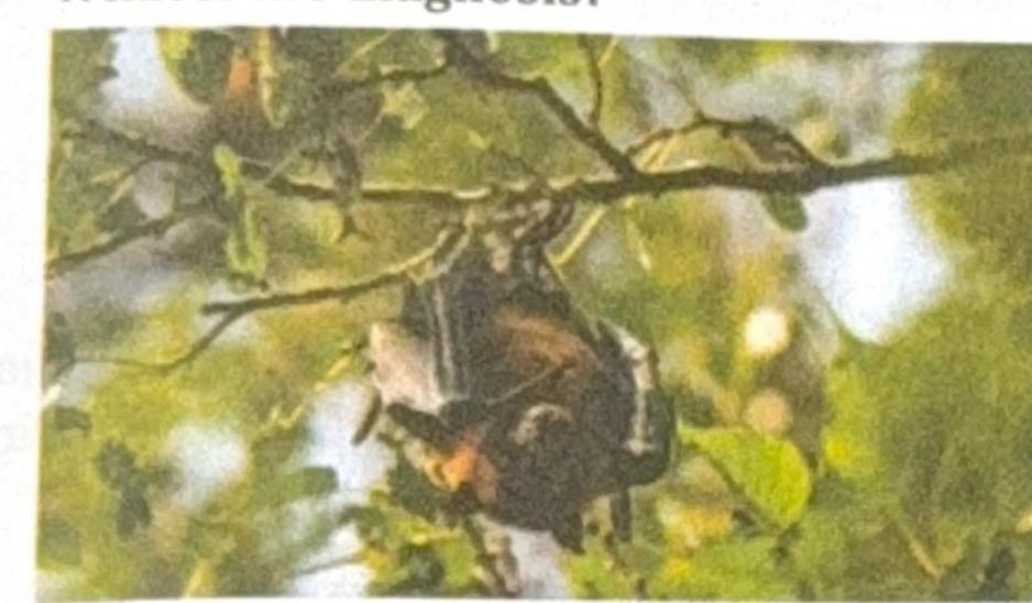 Image for question 22