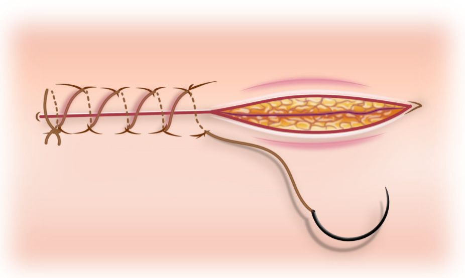 Image for question 13