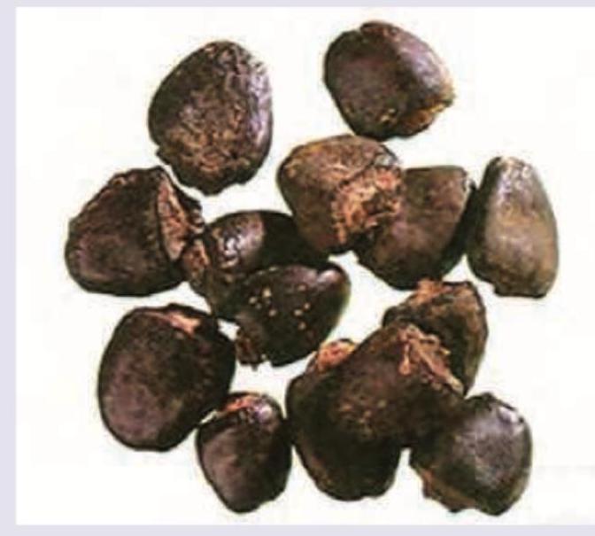 Image for question 20