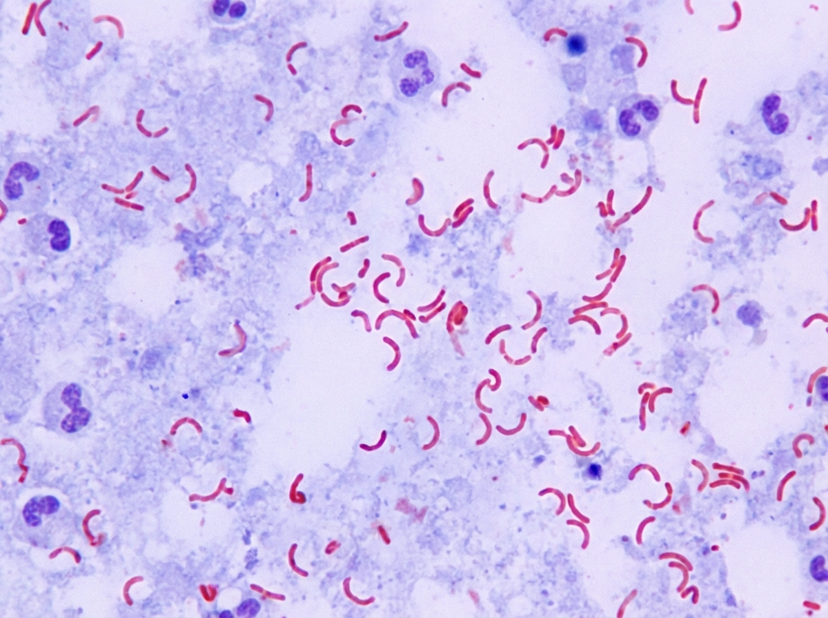 Image for question 1045