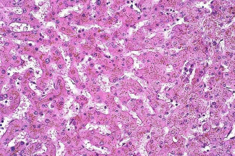 Image for question 56