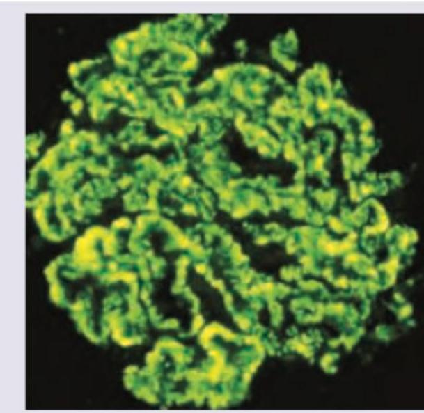 Image for question 56