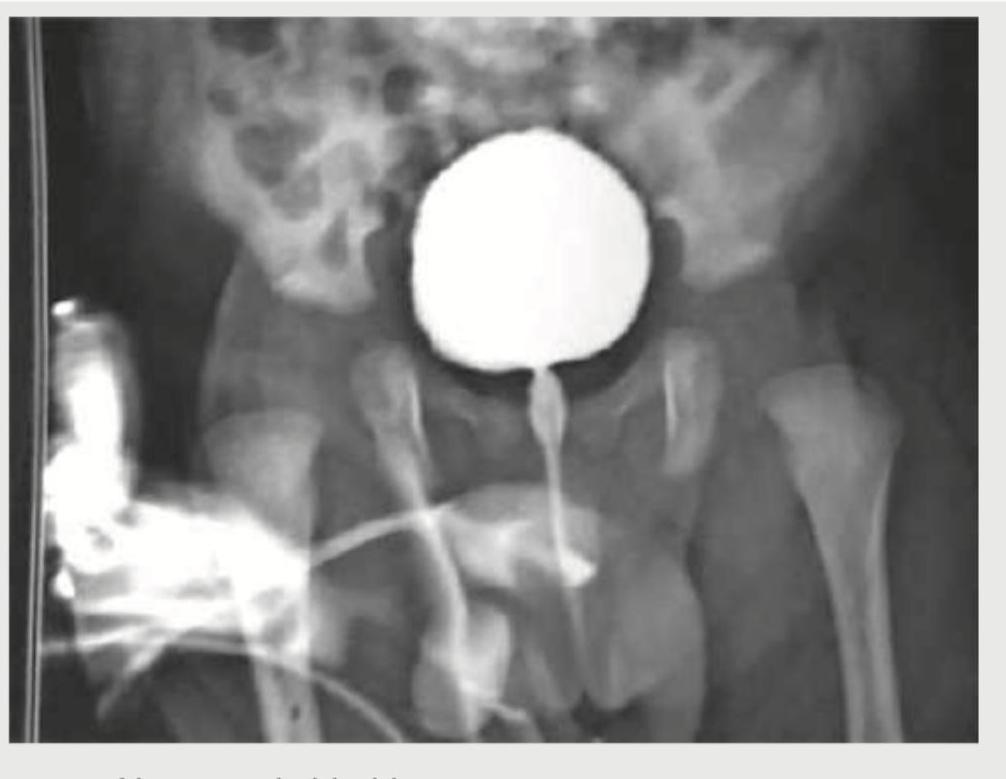 Image for question 5