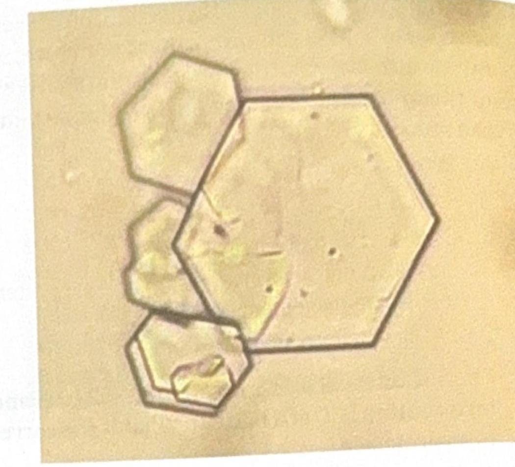 Image for question 3