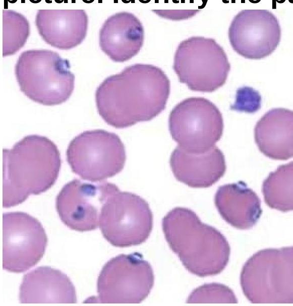 Image for question 27