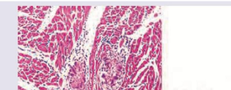 Image for question 49