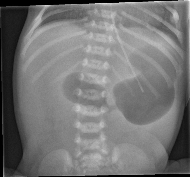 Image for question 6