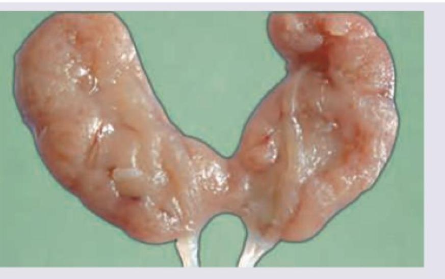 Image for question 3