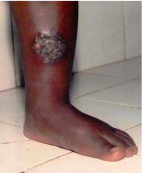 Image for question 24