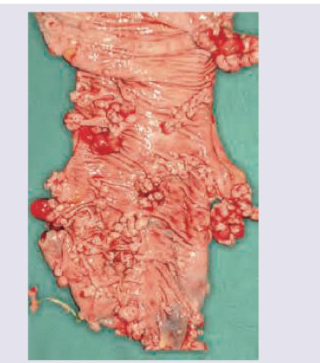 Image for question 77