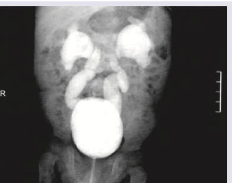 Image for question 548