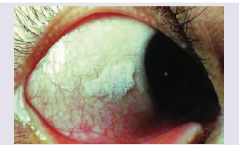 Image for question 273