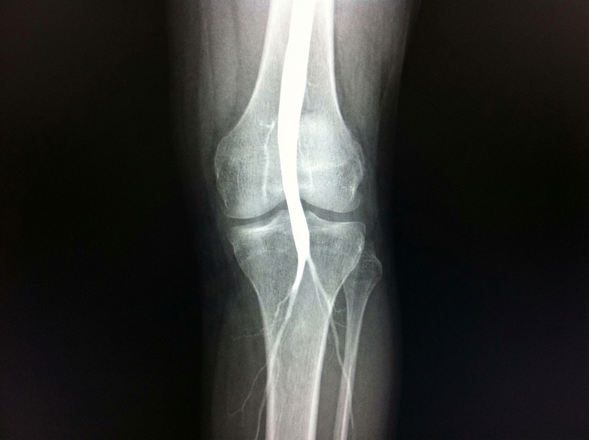 Image for question 13