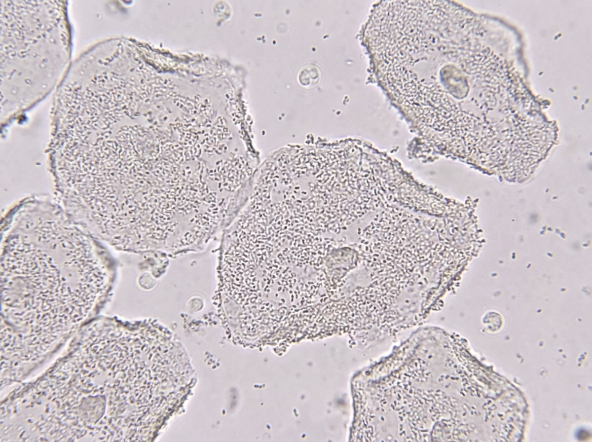 Image for question 99