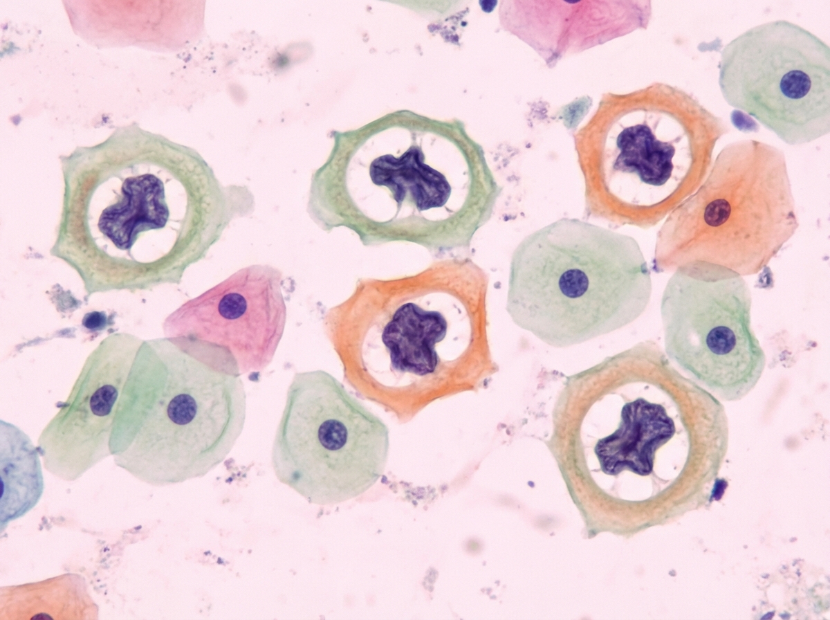 Image for question 8