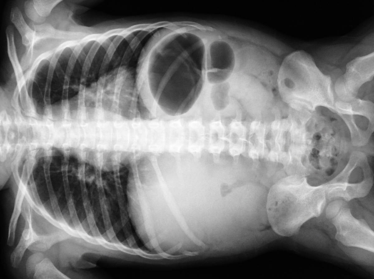 Image for question 21