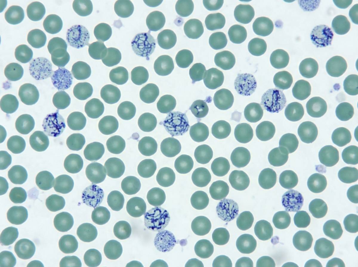 Image for question 8