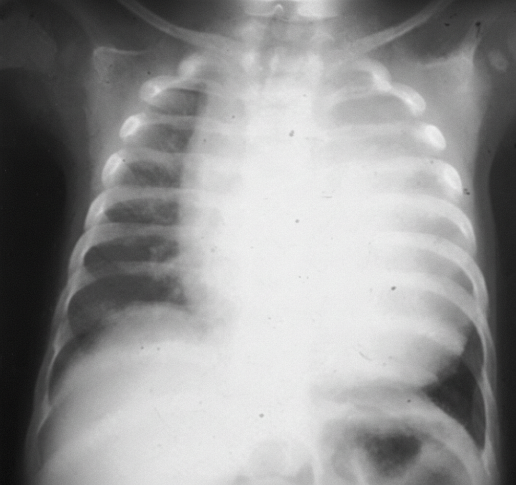 Image for question 4