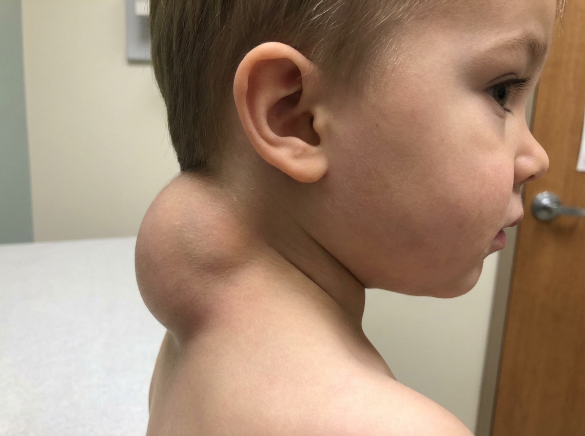 Image for question 4