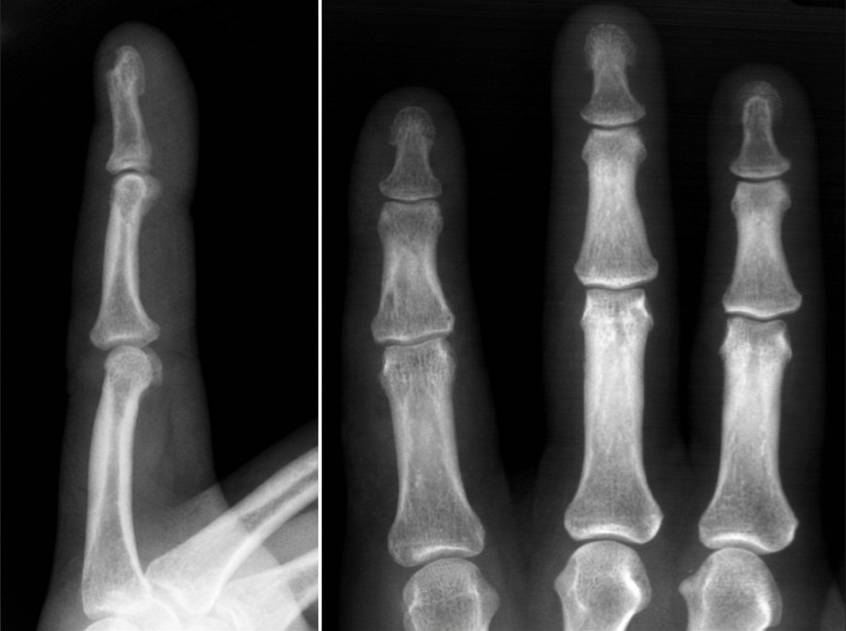 Image for question 23