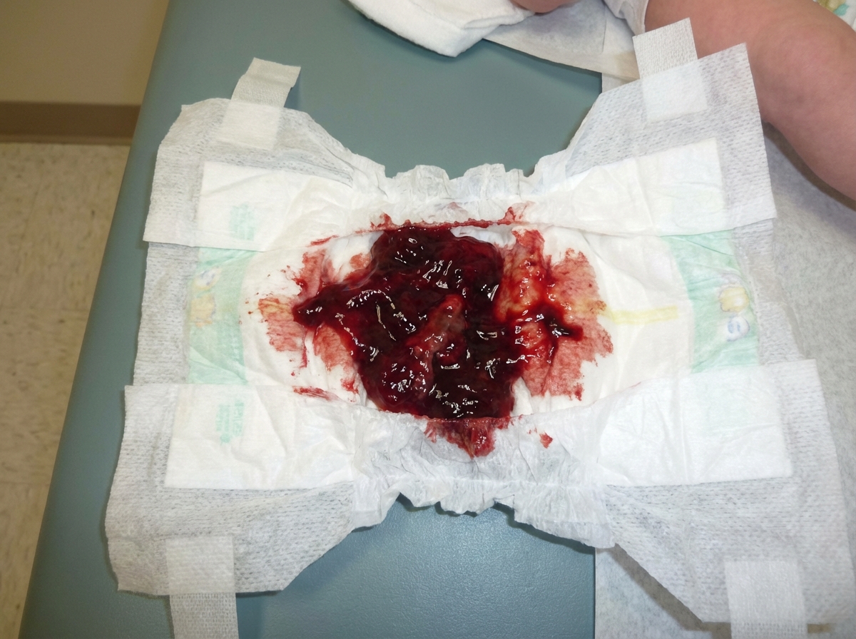 Image for question 7