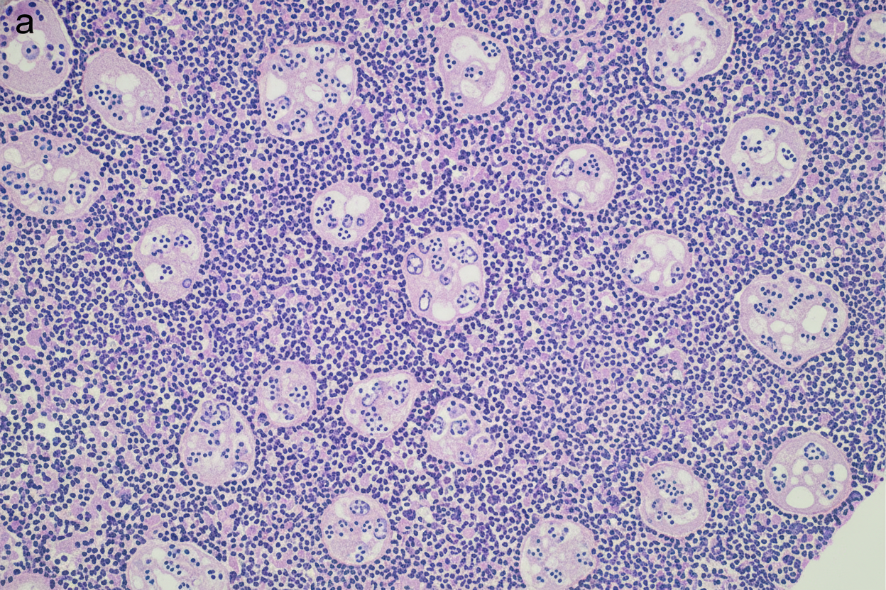 Image for question 31