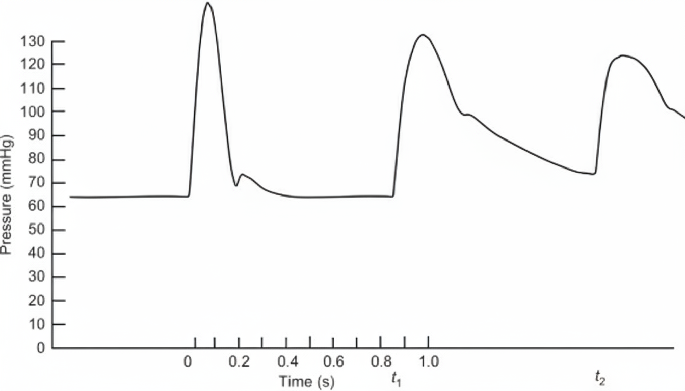 Image for question 1