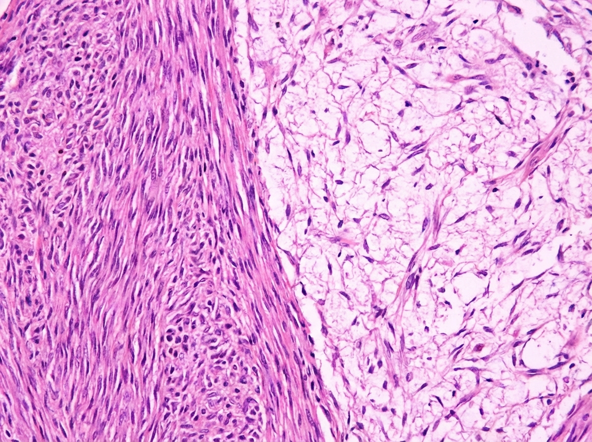 Image for question 44