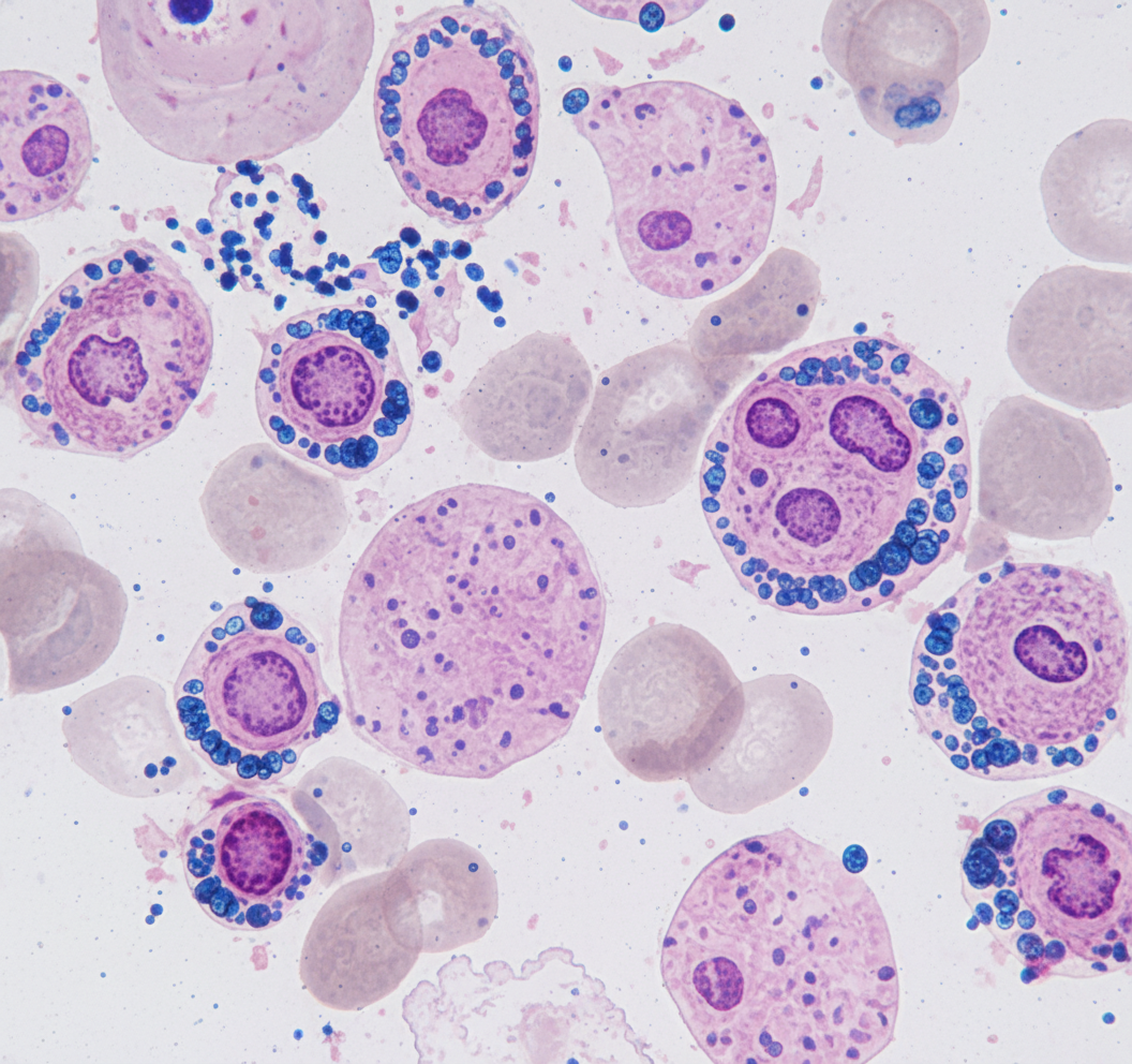 Image for question 96