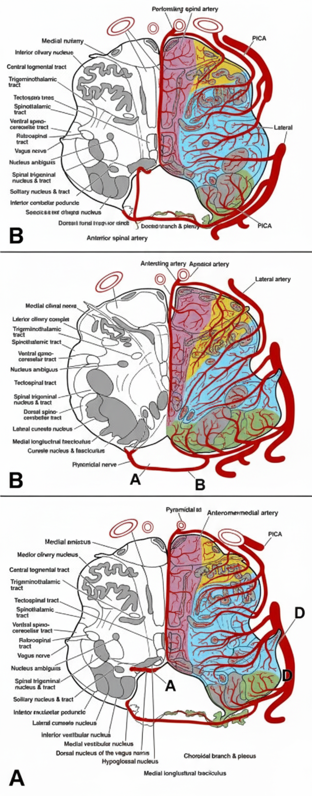 Image for question 50