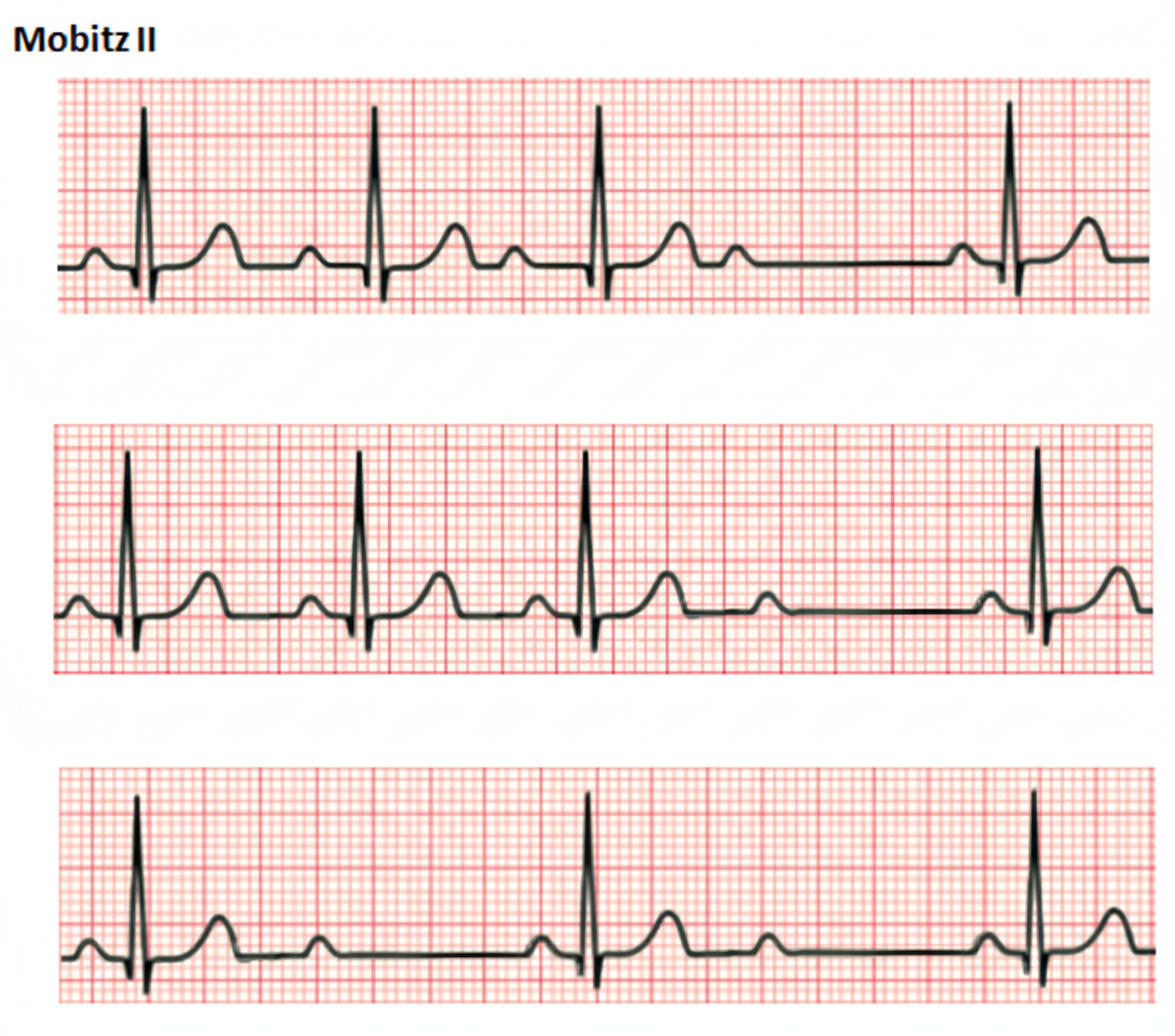 Image for question 40