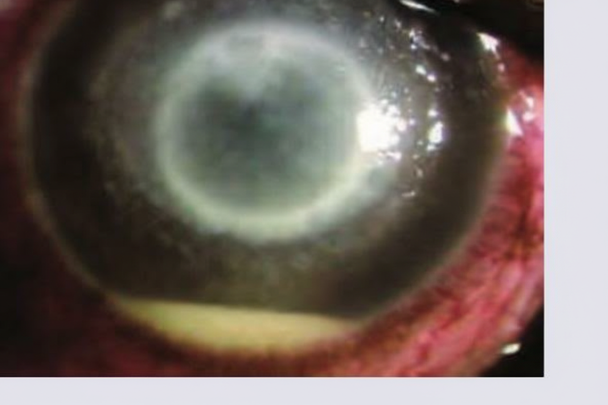 Image for question 1