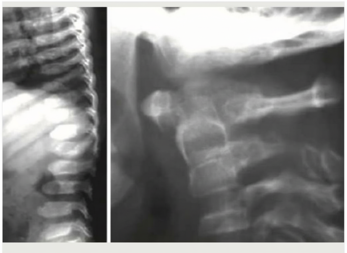 Image for question 64