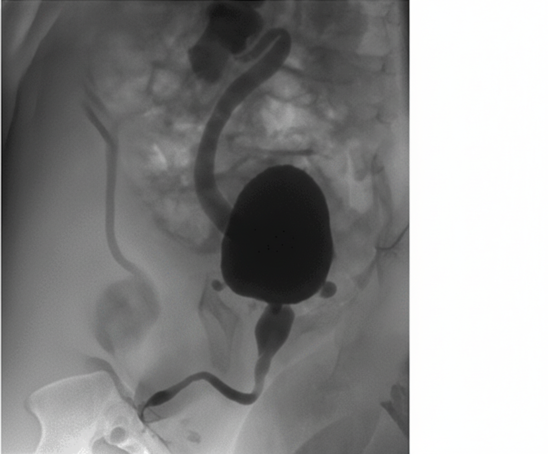 Image for question 7