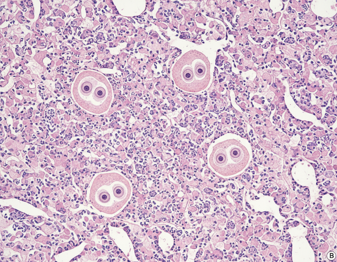 Image for question 32