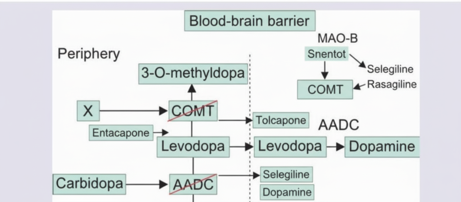 Image for question 680