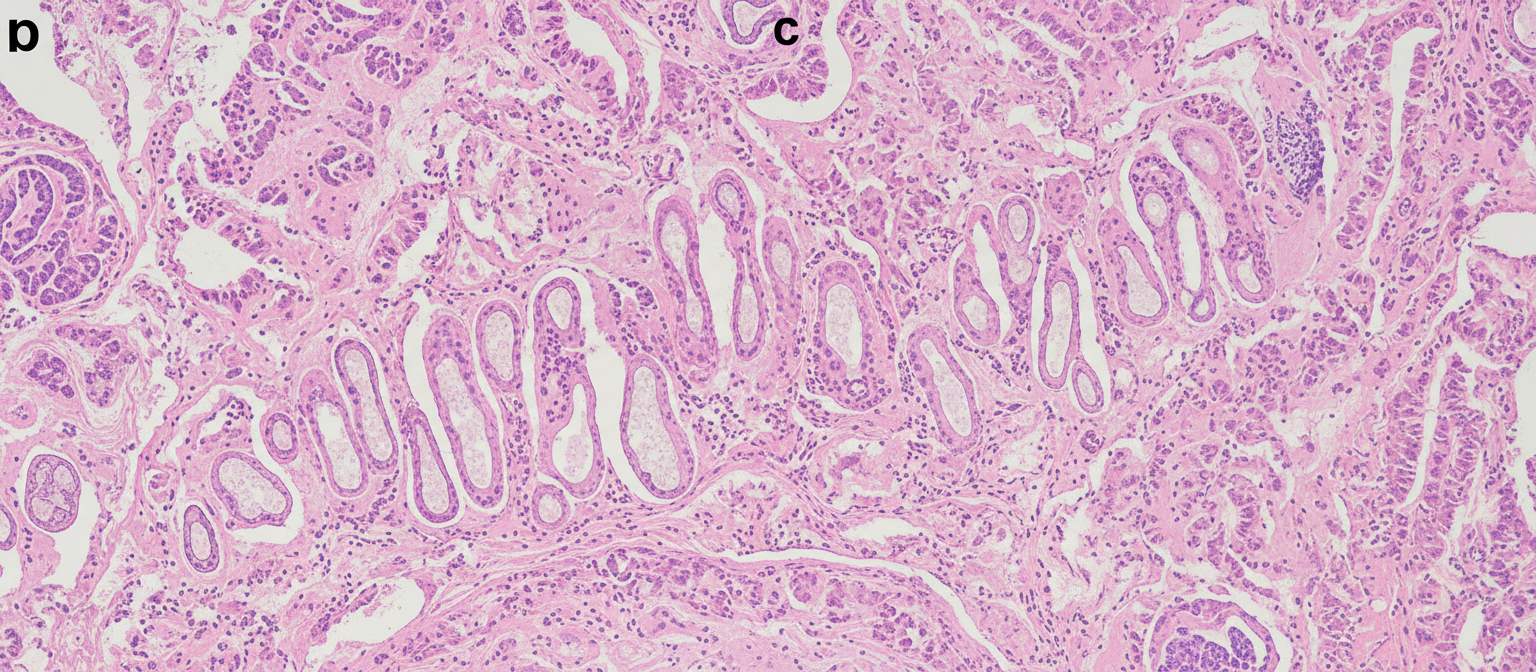 Image for question 177