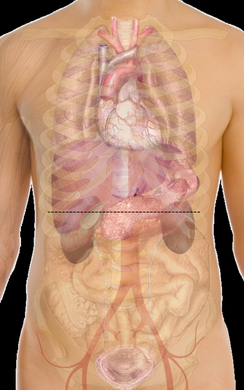 Image for question 9